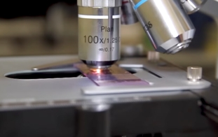 Оборудование и реагенты